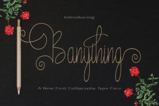 Banything: A Handwritten Font That Elevates Digital Branding
