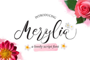 Merylia Font: A Handwritten Typeface That Lifts Campaign Visuals