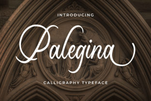 Palegina: A Calligraphic Script Font for Refined Editorial Design