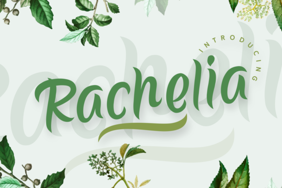 Rachelia: A Handwritten Font Built for Beautiful Editorial Design