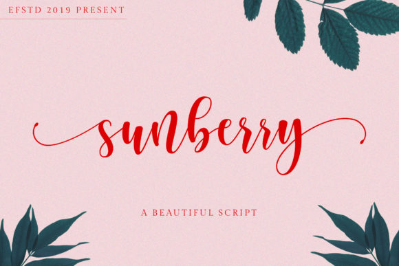 Sunberry: A Handwritten Font That Warms Up Your Brand
