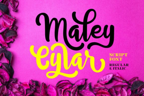Why Maley Cylar Became My Go-To Script Font for Web Headers